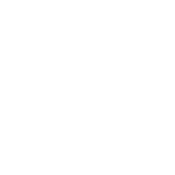 22pt