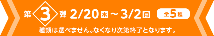 第3弾 2/20(木）〜3/2（水）